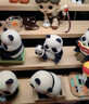 52TOYS Panda Roll幼稚園熊貓盲盒動(dòng)漫潮玩手辦擺件玩具單只搶先購 曬單實(shí)拍圖