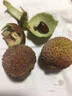桃西村海南新鮮妃子笑荔枝特產(chǎn)新鮮荔枝生鮮水果清甜多汁應(yīng)季鮮果 10斤 曬單實拍圖
