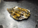 鮮海道 鮮活乳山生蠔4XL 凈重5斤 10-14只 生鮮海鮮貝類(lèi) 源頭直發(fā) 曬單實(shí)拍圖