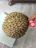京鮮生 進(jìn)口金枕頭榴蓮 凈重5-6斤 1個(gè)裝  鮮果 生鮮 新鮮水果 曬單實(shí)拍圖