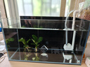 BESSN貝森金晶五線(xiàn)汽車(chē)級超白缸玻璃魚(yú)缸客廳裸缸家用水草溪流缸 60*30*35cm8mm厚金晶五線(xiàn)超白送貨上樓 曬單實(shí)拍圖