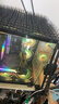 希捷（SEAGATE）臺式機硬盤(pán) 16TB 7200轉 512MB 機械硬盤(pán) SATA 希捷酷魚(yú)系列 3.5英寸 ST16000DM001 曬單實(shí)拍圖