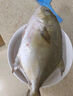8條 特大號金鯧魚(yú) 新鮮海魚(yú) 鯧魚(yú) 深海冷凍海昌特大金昌海鮮水產(chǎn) 9兩-1斤左右/條 2條 曬單實(shí)拍圖