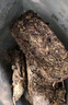 盛安長(cháng)裕興重百年傳承涇陽(yáng)茯茶黑茶茶葉金花茯磚茶陜西特產(chǎn)送禮禮盒400g 曬單實(shí)拍圖