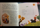 萬(wàn)物復書(shū)25秋二年級 玩具醫院大頭兒子和小頭爸爸 一只想飛的貓精編注音版 歪腦袋木頭樁精編注音版 池塘邊的花斑貓小巴掌童話(huà) 三毛流浪記全集上下正版贈導讀單 二年級6本組合+導讀單 曬單實(shí)拍圖