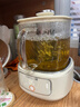 九陽(yáng)（Joyoung）凈萃養生壺迷你家用全玻璃煮茶器 316L茶籃 1L辦公室0金屬0膠水恒溫燒水壺 K10D-WY103（茶） 曬單實(shí)拍圖
