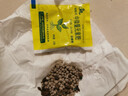 仟草集帶盆帶土 水培 金錢樹盆栽苗 象征榮華富貴 室內(nèi)盆栽花卉綠植 15-25cm一盆4-5棵 曬單實拍圖