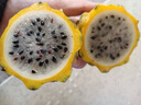 裕農叔【順豐JD】燕窩果麒麟果孕婦水果黃色火龍果海南中秋節禮品送禮 2.1斤凈重精品中果（單果95-150g） 曬單實(shí)拍圖