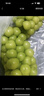 京覓 晴王陽(yáng)光葡萄 3斤 單果10g起 玫瑰香印青提 應季水果源頭直發(fā) 曬單實(shí)拍圖