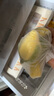 寶寶饞了玉米奶黃包200g兒童早餐輔食包子點(diǎn)心速食送嬰兒營(yíng)養輔食食譜 曬單實(shí)拍圖