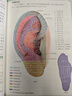 零基礎學(xué)耳穴 耳穴療法 中醫入門(mén) 曬單實(shí)拍圖