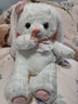 蓓斯曼泰迪小熊毛絨公仔娃娃畢業(yè)生日禮物女520情人節禮物玩偶兒童玩具 baby兔子 60厘米 曬單實(shí)拍圖