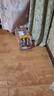 愛(ài)士堡典藏8度精釀啤酒500ml*18聽(tīng) 整箱裝 德國原裝進(jìn)口 烈性啤酒 蘇超 曬單實(shí)拍圖