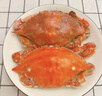 【冷凍】拾鮮生 梭子蟹鮮活冷凍特大螃蟹海蟹海鮮5斤 7-9兩/只 25年新蟹 源頭直發(fā)包郵 曬單實(shí)拍圖
