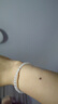 周大福 玉髓手串女 EOV53 曬單實(shí)拍圖