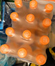 大窯汽水嘉賓橙諾橙味果汁汽水碳酸飲料300mL 12*橙諾 曬單實(shí)拍圖