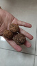 云南今年新貨野生老樹(shù)核桃紙皮薄皮孕婦黑桃薄殼干黑桃零食無(wú)漂 云南新貨薄皮核桃1斤-大樹(shù)普通果 曬單實(shí)拍圖