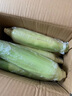 京鮮生&佳農寶菜山東新鮮水果玉米健康輕食玉米4-6根4.5斤裝源頭直發(fā) 曬單實(shí)拍圖