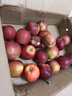 集南鮮 大漠冰糖心富士蘋(píng)果 甘肅新鮮脆甜蘋(píng)果 孕婦水果節日送禮 5斤甄選果 單果70-80mm 凈重4.5斤 曬單實(shí)拍圖