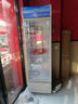 星星展示柜冷藏保鮮柜 單門(mén)飲料柜立式冰柜商用冰箱風(fēng)冷直冷超市便利店陳列柜 【推薦】316升 一級能效風(fēng)冷除霜LSC-316C 曬單實(shí)拍圖