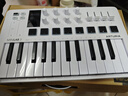 ARTURIA MINILAB3 MK3 便攜MIDI鍵盤(pán)25鍵迷笛控制器打擊墊音樂(lè )作編曲制作 25鍵白色+定制硬殼包 官方授權 贈正版音色庫 曬單實(shí)拍圖