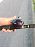 達億瓦（DAIWA）蜘蛛 TATULA 泛用輪 遠投輪 路亞輪水滴輪釣魚(yú)輪魚(yú)線(xiàn)輪 曬單實(shí)拍圖