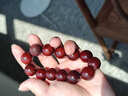 龍隱 印度小葉紫檀貔貅手串手鏈佛珠文玩招財檀香轉運珠送男女友禮物 老料財運貔貅 18mm 曬單實(shí)拍圖