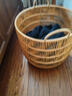 無(wú)不為中古風(fēng)臟衣簍仿藤編大容量浴室洗衣籃高顏值輕奢家用臟衣服收納筐 小號（寶寶衣物/內衣襪子收納） 曬單實(shí)拍圖