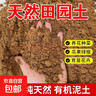 田園土泥土普通黃土壤通用型純天然泥巴土種菜土種花土陽(yáng)臺營(yíng)養土 5斤天然綠色純田園土【已殺蟲(chóng)】 曬單實(shí)拍圖