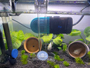 創(chuàng)寧 魚缸變頻加熱棒 CN-005-50W 自動恒溫 烏龜小型迷你加溫器 曬單實拍圖