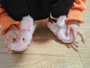 COSMICKISS兒童棉拖鞋保暖冬季女童加絨毛毛親子厚底居家中小童包跟寶寶棉鞋 白色拖鞋-26/27碼-鞋內長(cháng)16CM（不包跟） 曬單實(shí)拍圖
