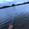 創(chuàng)威創(chuàng)威電子夜光漂魚漂日夜兩用夜光漂咬鉤變色夜光漂鰱鳙浮漂全套 D-05【主攻鯽魚】9目-吃鉛1.8 軟尾不變色一支(電池*1) 曬單實拍圖