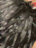桑菽白色天使羽毛翅膀背飾成人舞臺演出表演道具兒童女孩拍照走秀裝飾 黑色惡魔大號羽毛翅膀 曬單實(shí)拍圖