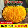 京鮮匠山東正宗真貝貝南瓜 栗香小南瓜 粉糯香甜老瓜蔬菜 產(chǎn)地直發(fā) 精品果 凈重 5斤 曬單實(shí)拍圖