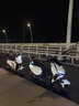 小牛電動(dòng)【2025新品北京專(zhuān)享】FXT Ultra新國標電動(dòng)自行車(chē)鋰電池 雙通道ABS電瓶成人代步自行車(chē) 到店自提 曬單實(shí)拍圖