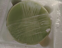 佩爾森奶油風(fēng)陶瓷面碗家用大碗湯碗吃面條碗高顏值面碗泡面碗6英寸2只 曬單實(shí)拍圖