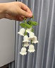 恒源祥羊毛線(xiàn)細線(xiàn)100小囡線(xiàn)手工編織毛衣帽子圍巾毛線(xiàn)店 002白色 曬單實(shí)拍圖