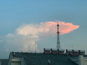 迪卡儂太陽(yáng)眼鏡墨鏡防紫外線(xiàn)戶(hù)外運動(dòng)登山釣魚(yú)騎行徒步MH500-4073334 曬單實(shí)拍圖