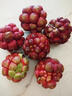 優(yōu)味集黑老虎布福娜熱帶鮮果湖南惡魔果實(shí)血藤果奇異生鮮罕見(jiàn)水果整箱 500g凈重裝 曬單實(shí)拍圖