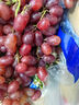 正宗克倫生無(wú)籽紅提脆甜紅寶石葡萄當季新鮮水果葡萄 1斤 曬單實(shí)拍圖