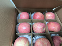 洛川蘋(píng)果陜西延安紅富士時(shí)令蘋(píng)果水果禮盒禮品蘋(píng)果生鮮新鮮脆甜整箱好吃 凈重4.5斤80-85mm鉑金果 彩箱裝 曬單實(shí)拍圖