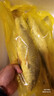 蝦有蝦途大黃魚(yú) 黃姑魚(yú)似黃花魚(yú)新鮮冷凍生鮮水產(chǎn)鮮活冰鮮海魚(yú)3斤凈重 3斤3條大黃姑魚(yú)【蒜瓣肉】 3斤3條大黃姑魚(yú)【蒜瓣肉】 曬單實(shí)拍圖