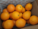 京鮮生 當季鮮橙 凈重10斤 鉆石果 單果約200g起 生鮮橙子水果禮盒 曬單實(shí)拍圖