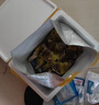 鮮京采 鮮活生蠔2XL 凈重4斤 14-17只 生鮮海鮮 中秋聚餐 源頭直發(fā) 曬單實(shí)拍圖