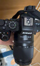 尼康Z50II 微單相機 Vlog自拍高清無(wú)反旅游 內錄4K N-log側翻觸摸屏Z50二代微單照相機 便攜 專(zhuān)業(yè) 攝影 Z50II+Z18-140中長(cháng)焦旅游鏡頭 標配【不要贈品可減價(jià)】 曬單實(shí)拍圖
