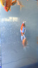 淘歌魚(yú)缸氧氣泵養魚(yú)增氧泵低音小型家用魚(yú)缸增氧打氧機AP948雙孔10w 曬單實(shí)拍圖