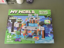 旗跡（QiJi）我的世界積木玩具兒童拼裝積木組裝方塊世界男女孩拼插模型套裝 曬單實(shí)拍圖