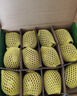 佳沛（zespri）新西蘭  陽(yáng)光金奇異果10粒禮盒巨大果單果約144-175g 水果 獼猴桃 曬單實(shí)拍圖