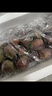 京鮮生 新疆法蘭西西梅 凈重3斤 單果15g+ 新鮮水果 源頭直發(fā)包郵 曬單實(shí)拍圖