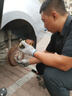 瑪吉斯（MAXXIS）輪胎/汽車(chē)輪胎 175/70R14 84H EC1 適配桑塔納/現代 曬單實(shí)拍圖